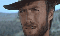 Shifty Eyes Woody Clint Eastwood GIF