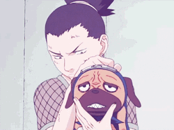 Shikamaru Nara Pakkun Pug Squish Face GIF