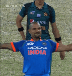 Shikhar Dhawan Matthew Wade GIF