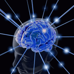 Shining Brain Meme GIF