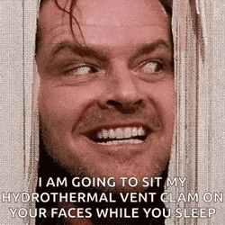 Shining Heres Johnny GIF