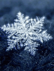 Shining Snowflake On Ground GIF