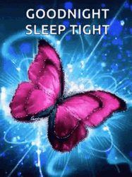 Shining Violet Butterfly Have A Great Night GIF