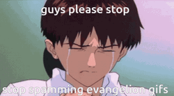 Shinji Says Guys Please Stop GIF
