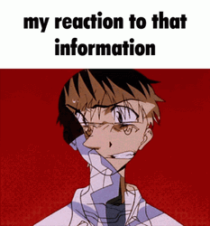Shinji Says My Reaction To That Information GIF