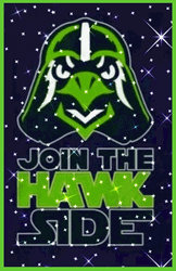Shinning Join The Hawk Side GIF