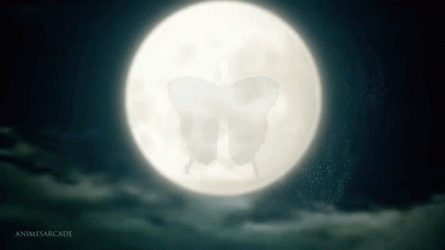 Shinobu Kocho Butterfly Insect GIF