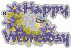 Shiny Animated Blessed Wednesday Text GIF
