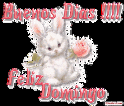 Shiny Bunny Feliz Domingo Graphic Design GIF