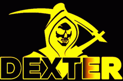 Shiny Golden Dexter Mobile Art GIF