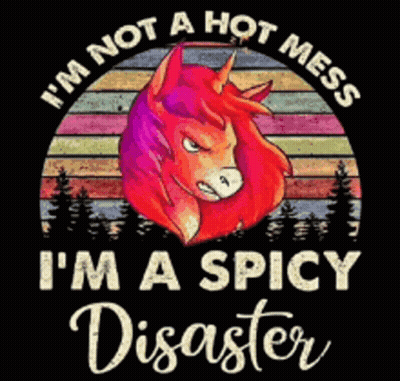 Shirt Saying I'm Not A Hot Mess I'm A Spicy Disaster GIF