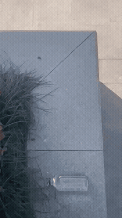 Shirtless Cartoon Character Fist GIF