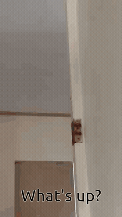Shirtless Man Dancing Hey Girl Hey GIF