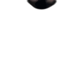 Shirtless Man Doing Handstand Sticker