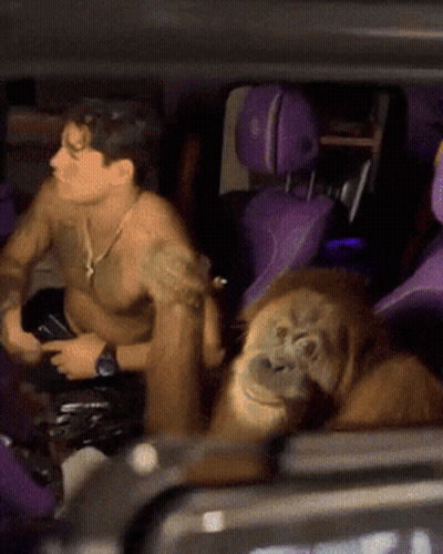 Shirtless Man In Car With Monkey GIF