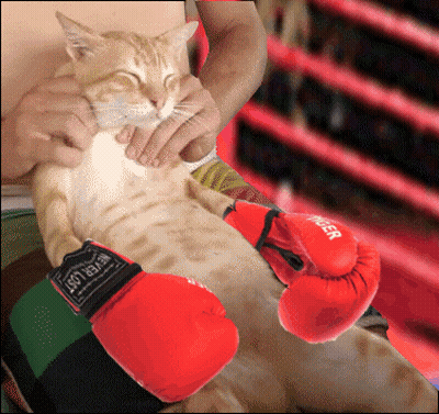 Shirtless Man In Red Shorts And Black Gloves GIF
