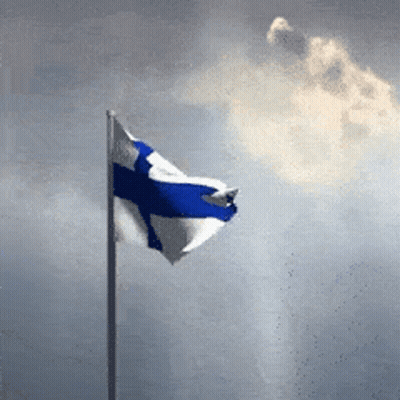 Shirtless Man In Swim Trunks Holding Flag And Beer Can T GIF