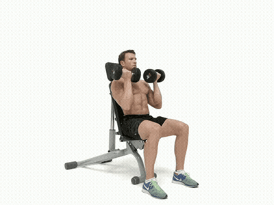 Shirtless Man On Bench Lifting Dumbbells Overhead GIF