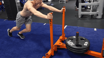 Shirtless Man Pushing Sled With 45 Weight Plate GIF
