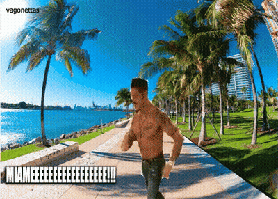 Shirtless Man Running In Front Of Palm Trees Caption Miamieeeeeeeeee GIF