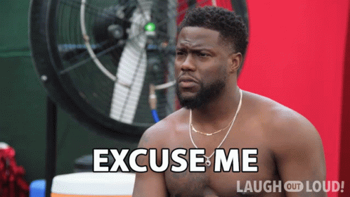 Shirtless Man Says Excuse Me In Front Of Fan GIF