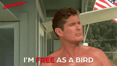 Shirtless Man Says I'm Free As A Bird In Red GIF