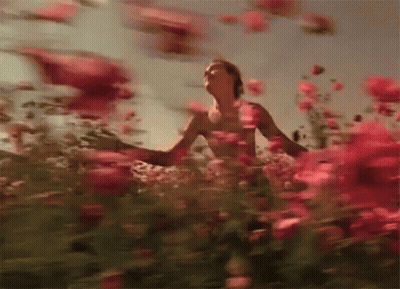 Shirtless Man Standing In Red Flowers Arms Outstretched GIF