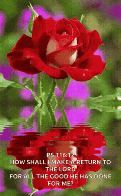 Shirtless Man With P Hat Helps Elderly Woman GIF