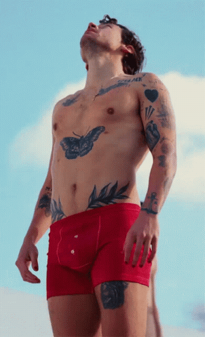 Shirtless Man With Tattoos In Red Underwear GIF
