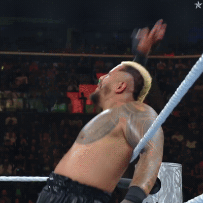 Shirtless Wrestler Arms Outstretched In Ring GIF