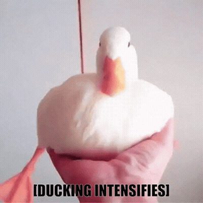 Shirtless Wrestler In Ring With Tiffanyluv24 GIF