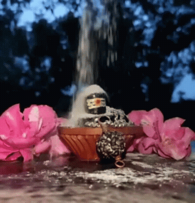 Shiva Statue Poured Into Pink Flowers GIF