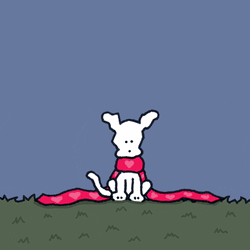 Shivering Chippy The Dog On Windy Day GIF