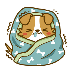 Shivering Dog Covered With Blanket GIF