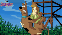 Shivering Dog Scooby Doo And Shaggy Rogers GIF