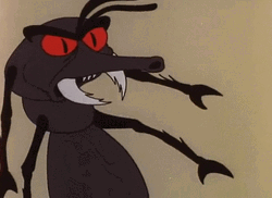 Shnookums And Meat Funny Insect GIF