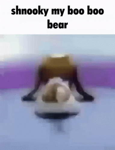 Shnooky My Boo Boo Bear GIF
