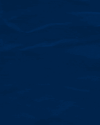 Sho Nuff Mic Drop George Linde GIF