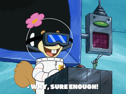 Sho Nuff Sandy Cheeks SpongeBob GIF