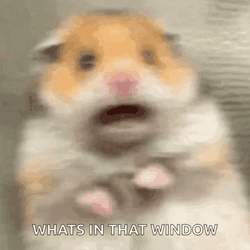Shocked And Shaking Hampter GIF