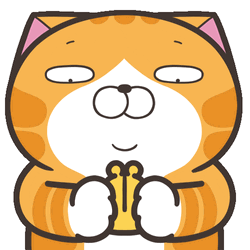 Shocked Cat Flying Empty Wallet GIF