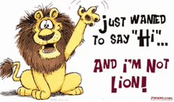 Shocked Lion Just Saying Hi  GIF