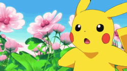Shocked Pikachu In Field Of Flowers GIF
