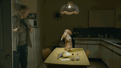 Shocking Cat Breakdancing GIF