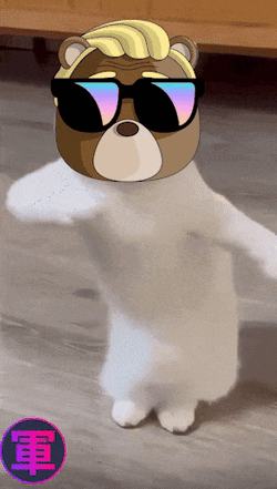 Shogun Bearfort GIF