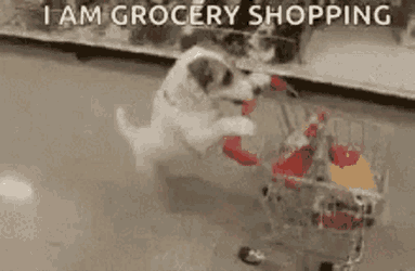 Shopping Grocery GIF