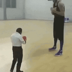 Short Guy Boxing GIF