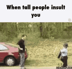 Short Guy Slap When Tall People Insult You GIF