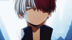 Shoto Todoroki Frozen Stare GIF