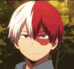 Shoto Todoroki Looking Intently GIF